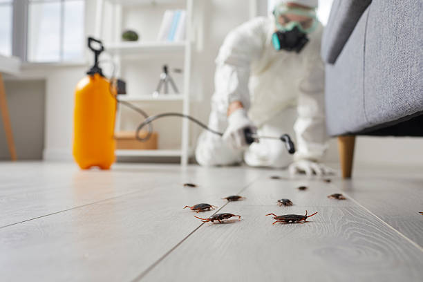 Commercial Kitchen Cockroach Control in Archdale